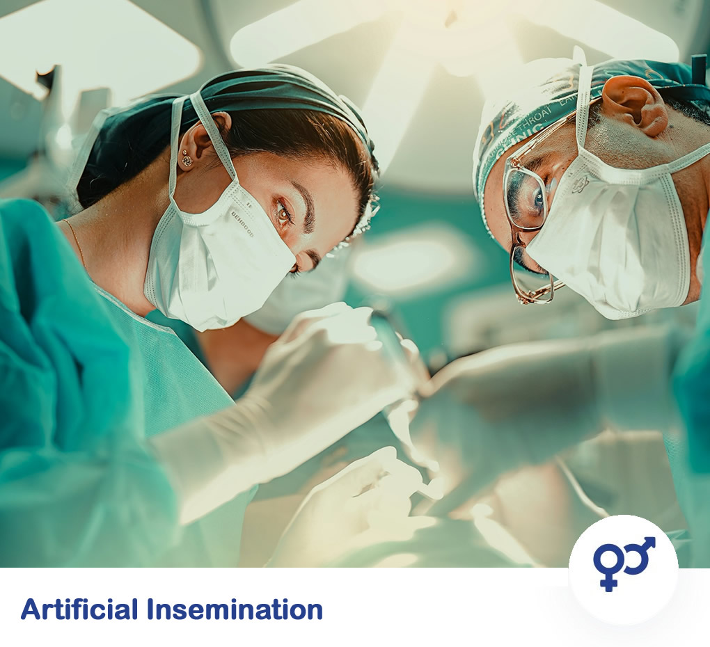 Describe image 16 here