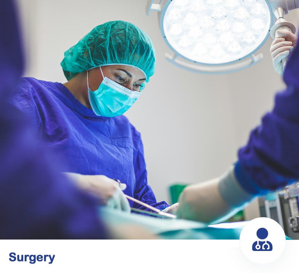 Puppy preschool class